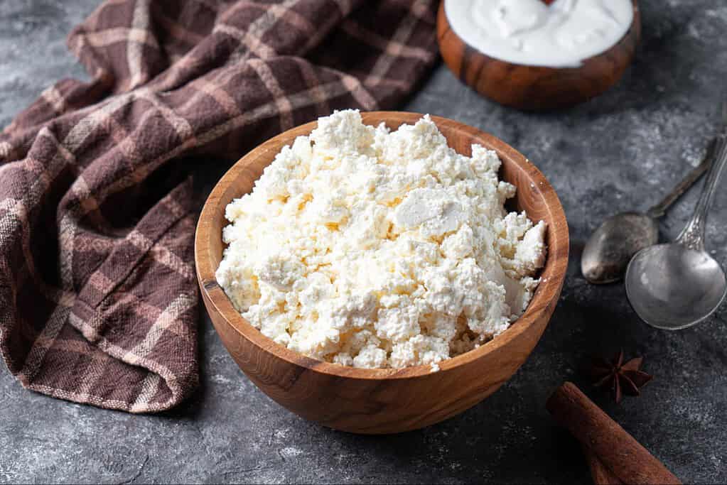 What form of cottage cheese is best for fur friends