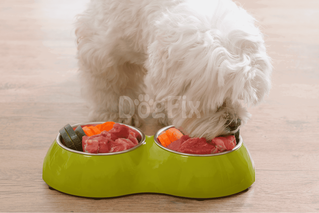 What raw meats can dogs eat