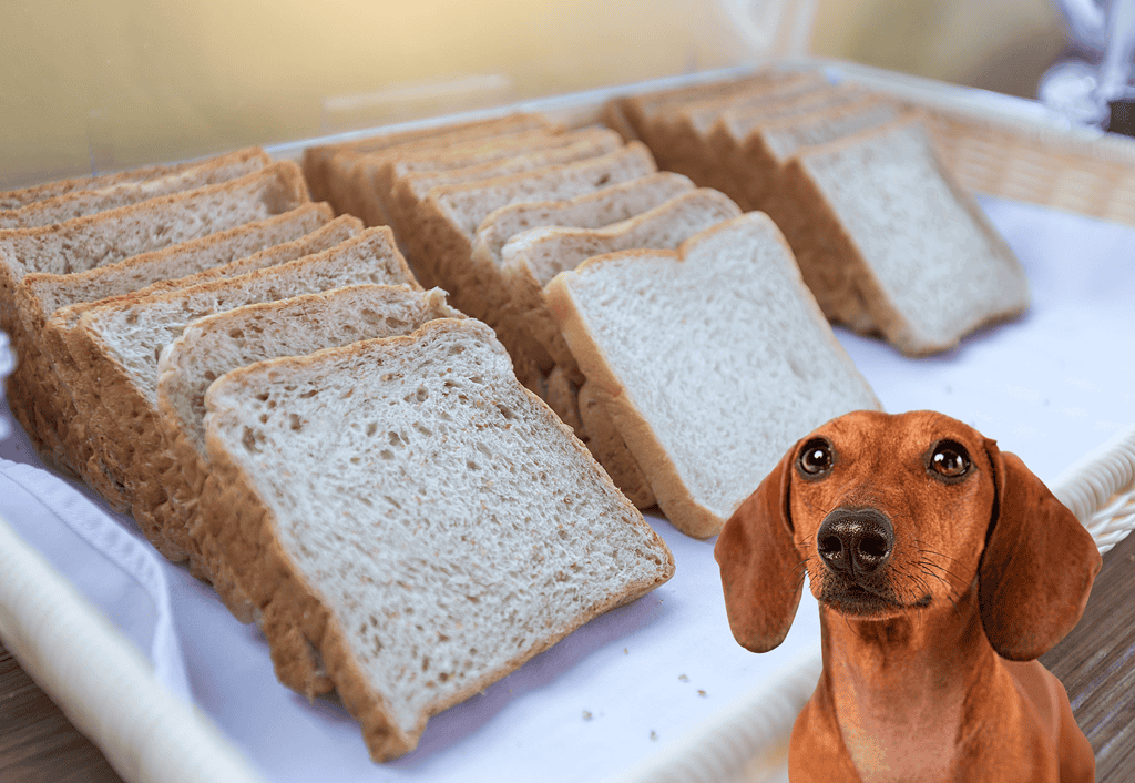 White Bread & Whole Wheat Bread