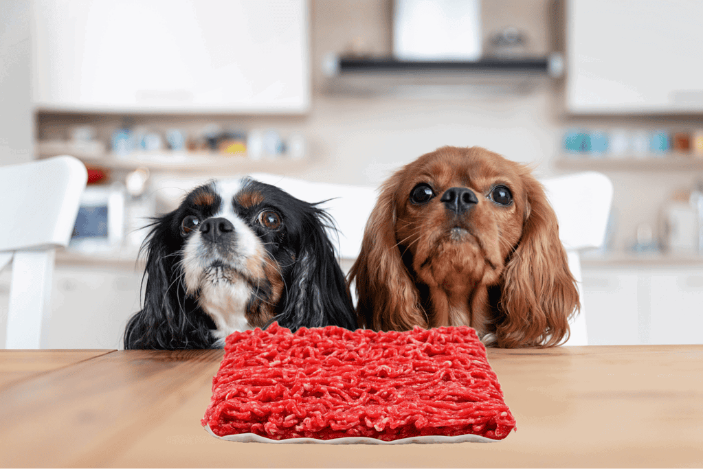 You've Got Questions, We've Got Answers!