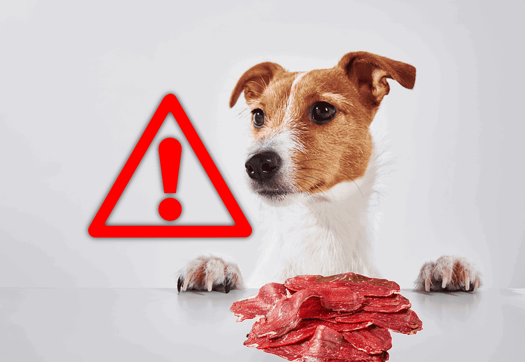 Dog looking at raw meat with warning sign.