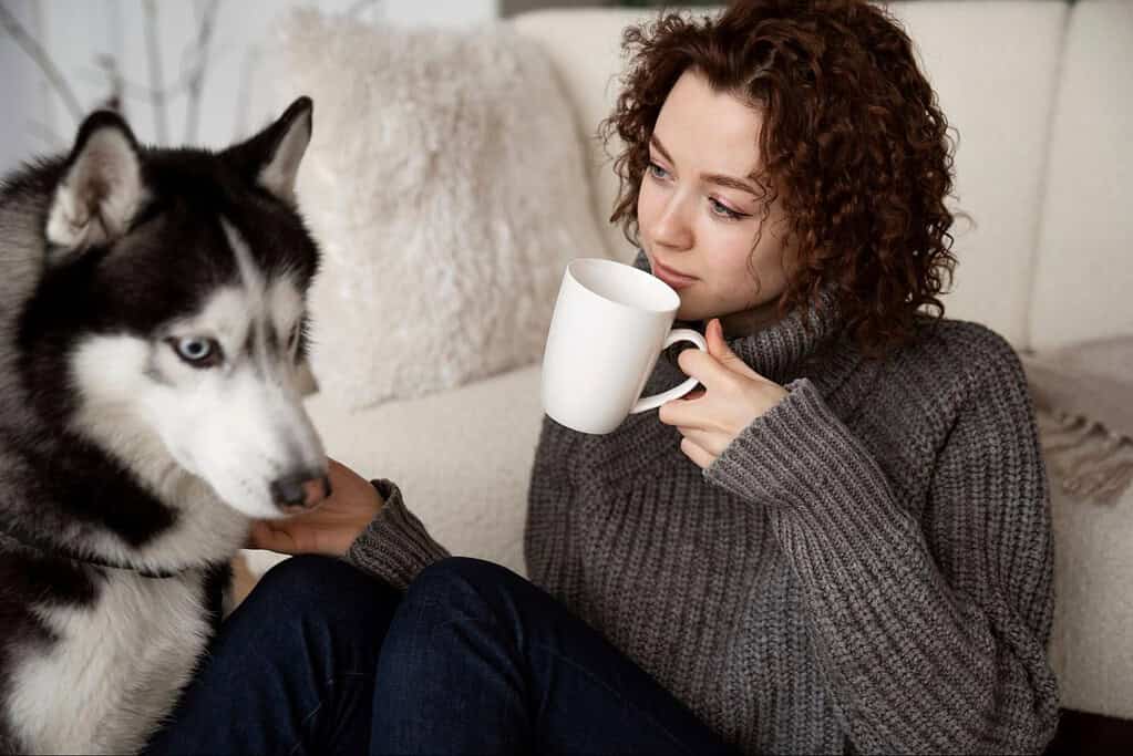 Husky dog and woman relaxing indoors, enjoying quality time together with coffee.