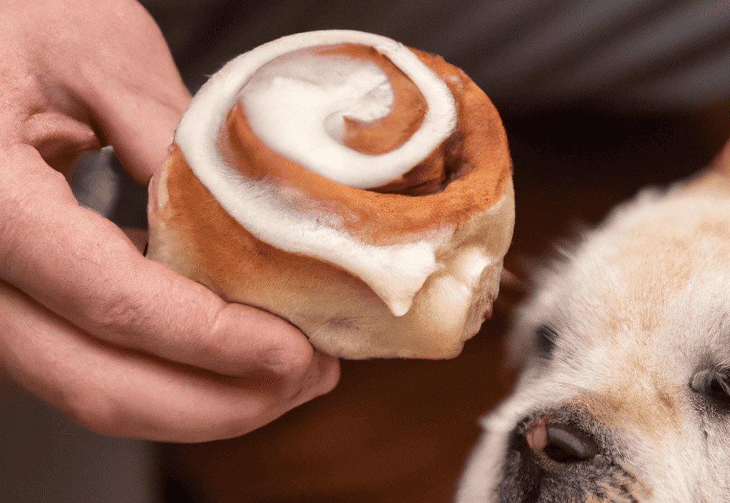 Dog cinnamon roll treat with cream cheese frosting, adorable pet snack for dogs.