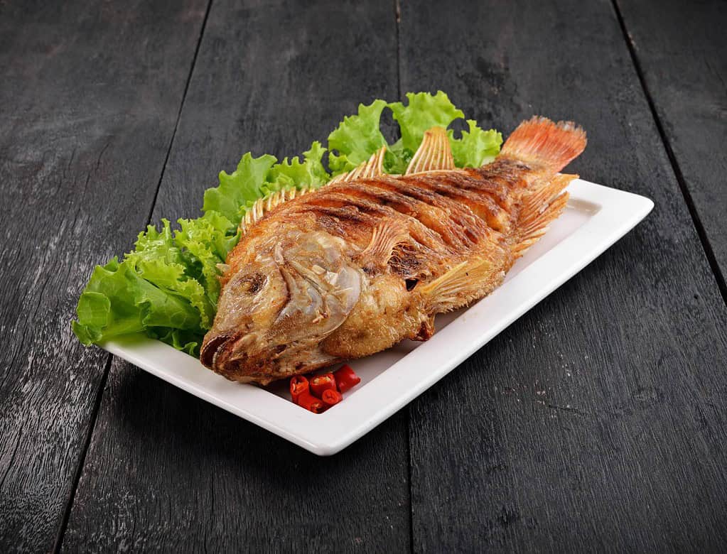 Fresh cooked fish on a white plate with lettuce, perfect for nutritious dog meals.