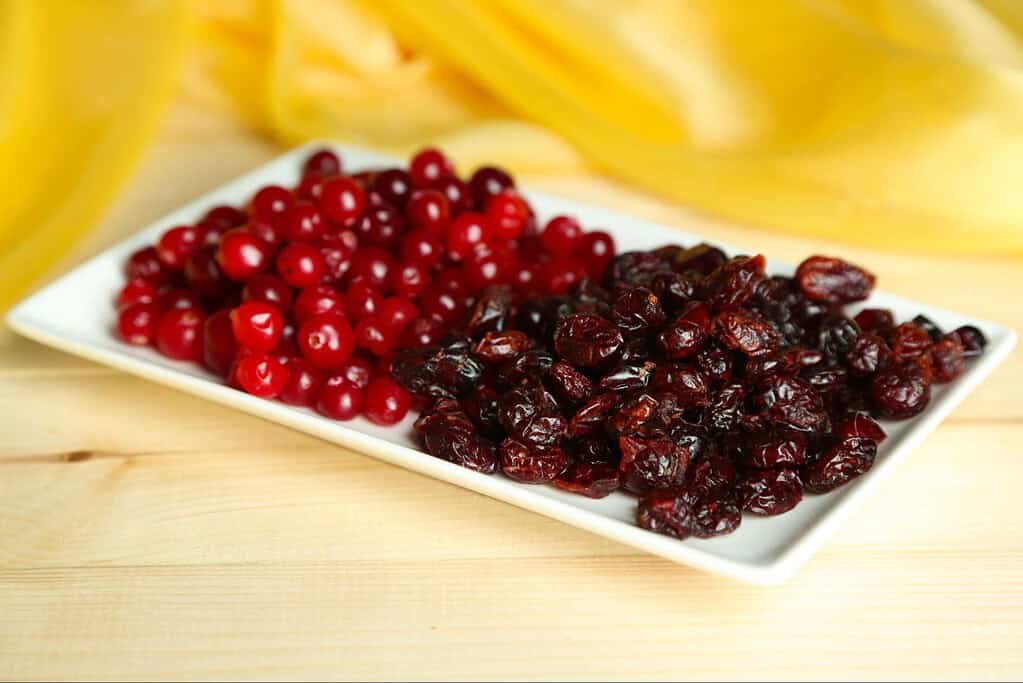 Cranberries for dog health, natural ingredients, healthy dog treats, DIY dog recipes.
