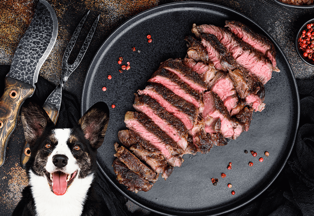 Delicious cooked steak perfect for dog treats and meals, featuring fresh meat and peppers on a black stone background.