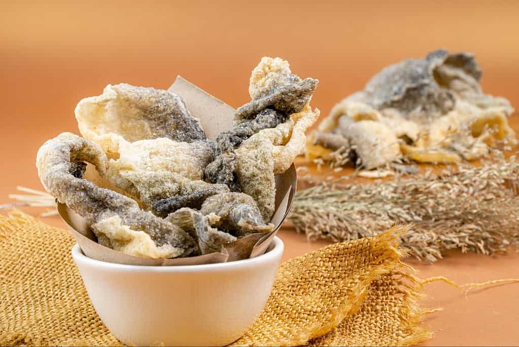 High-quality dehydrated fish skin snacks for dogs, natural healthy dog chews, protein-rich treats, grain-free dog treats.
