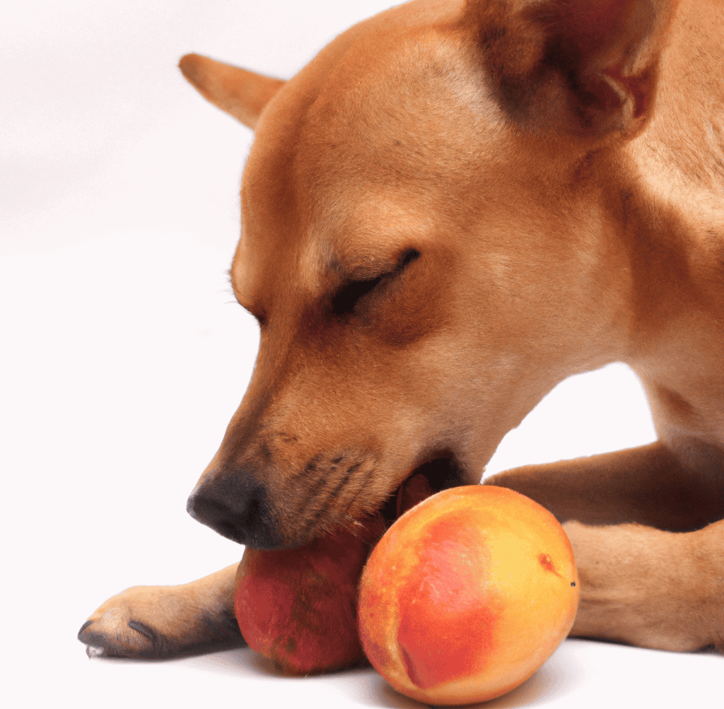 essential vitamins, fiber, antioxidants, and minerals