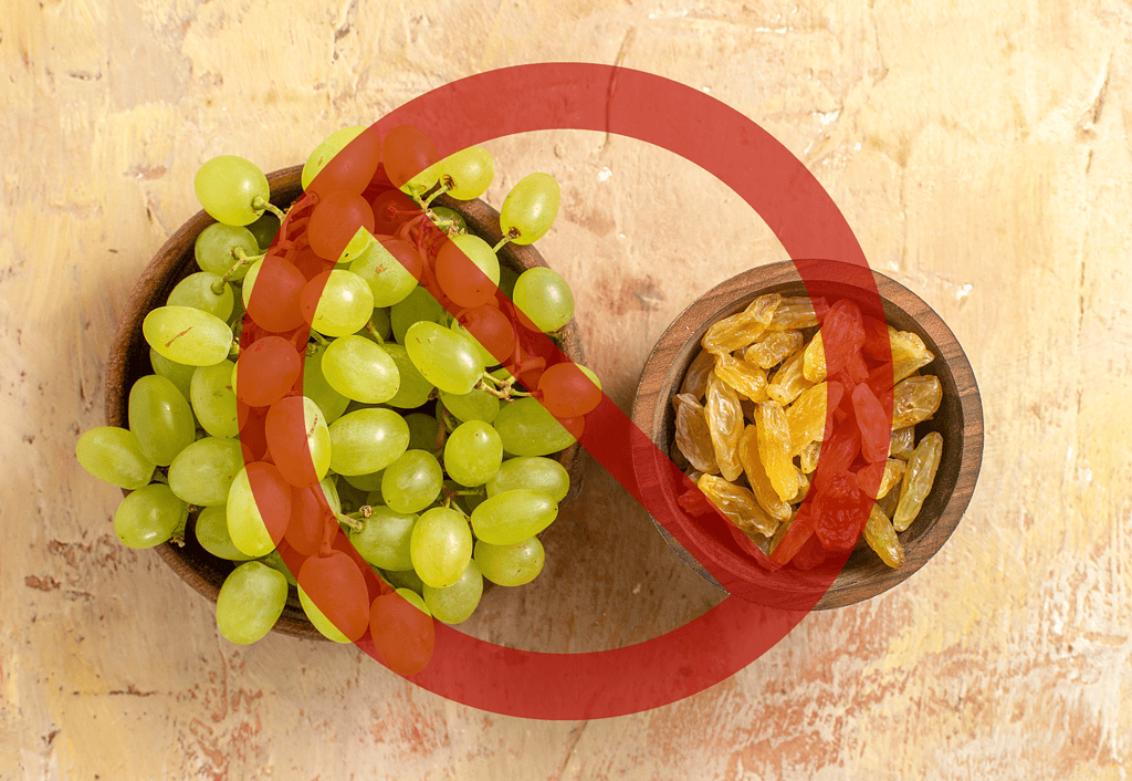 Grapes and raisins are toxic to dogs, posing serious health risks. Avoid feeding these fruits to your pet.