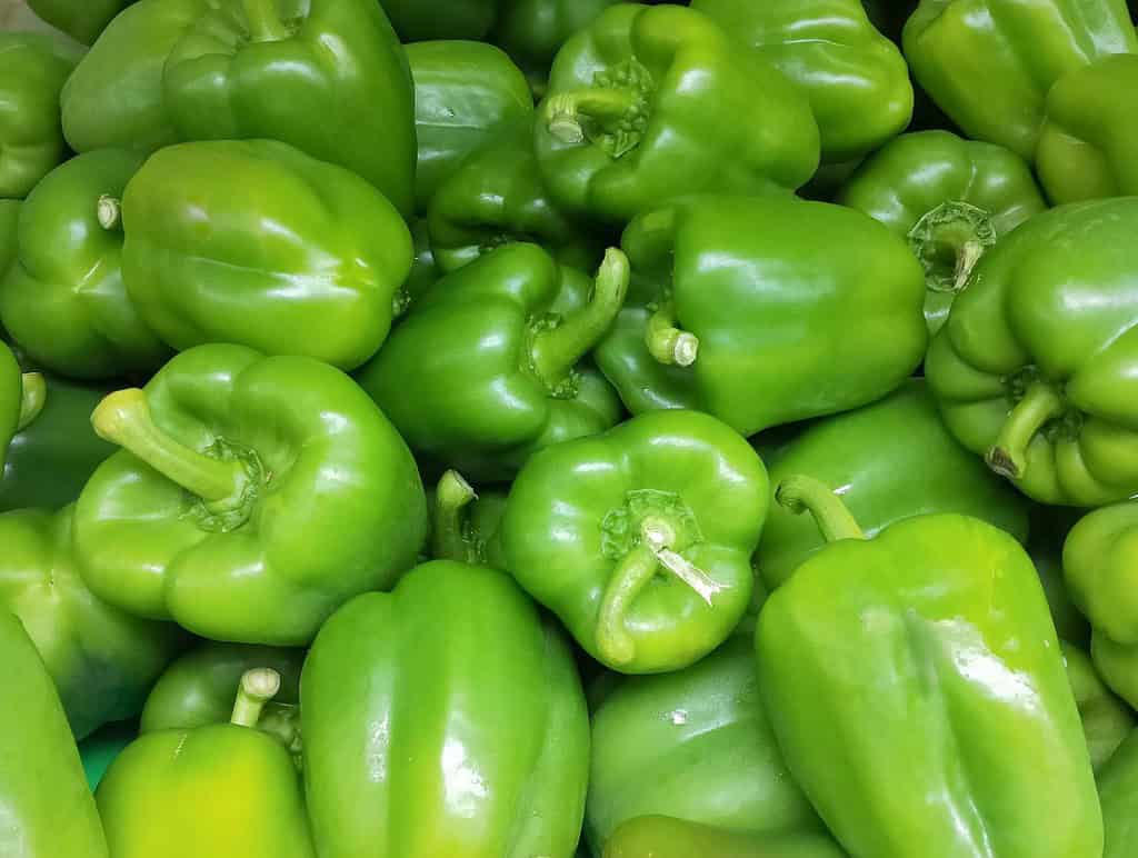 Bright green bell peppers with shiny skin, abundant at a fresh produce market.