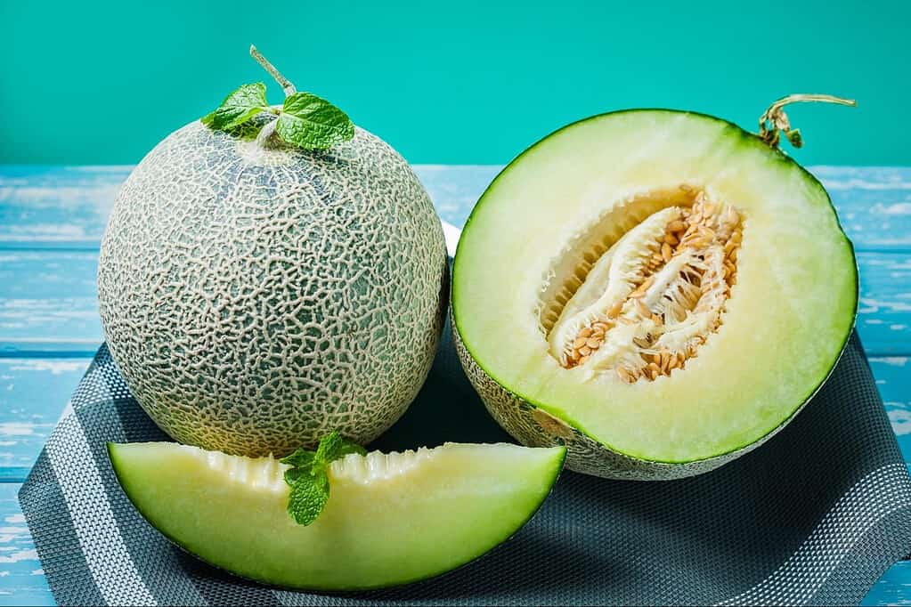 Fresh melon and cantaloupe with slices, vibrant colors, ideal for healthy snacking.