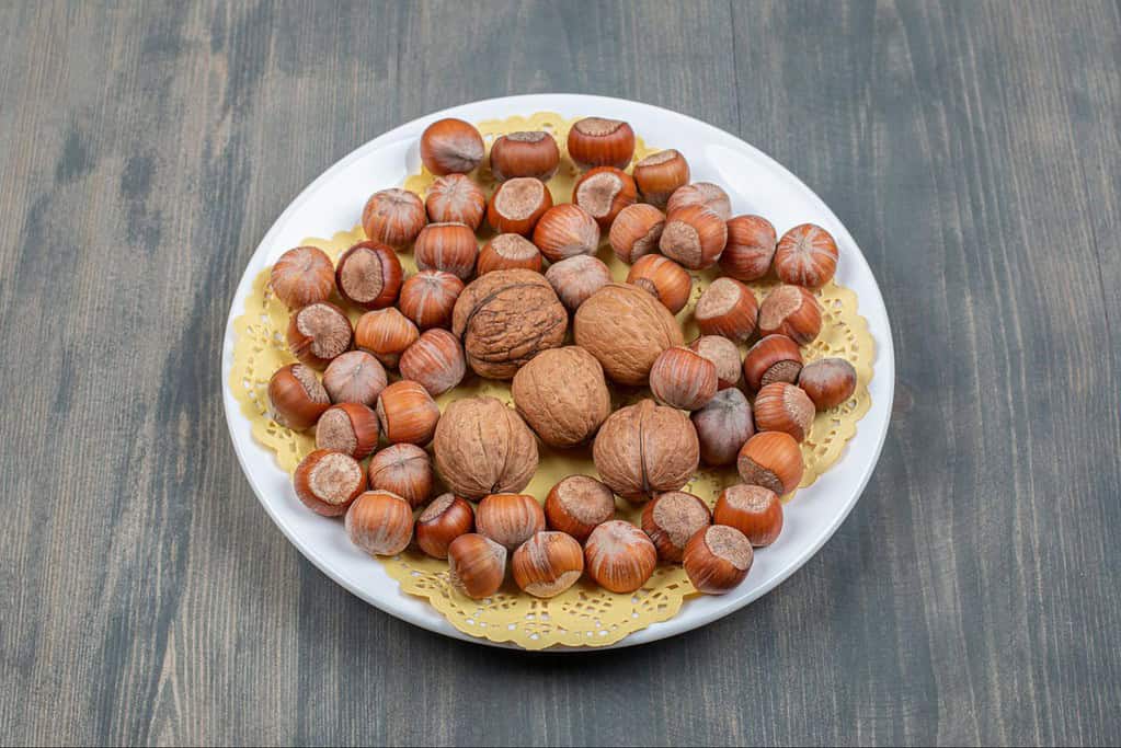 Fresh hazelnuts and walnuts arranged on a white plate for healthy dog treats.