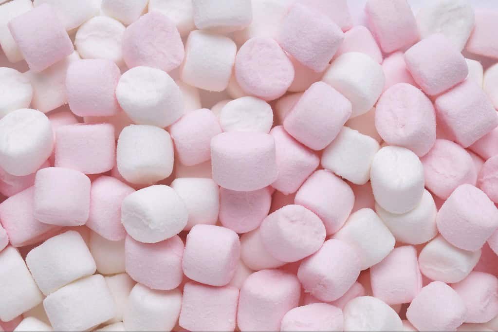 marshmallows