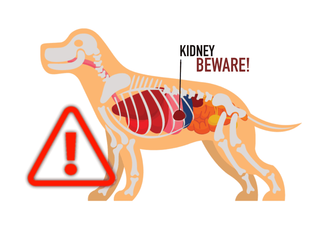 nervous system issues