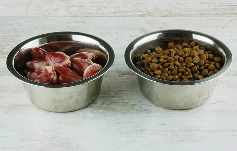 Fresh raw meat and dry kibble in stainless steel dog bowls for pet feeding.