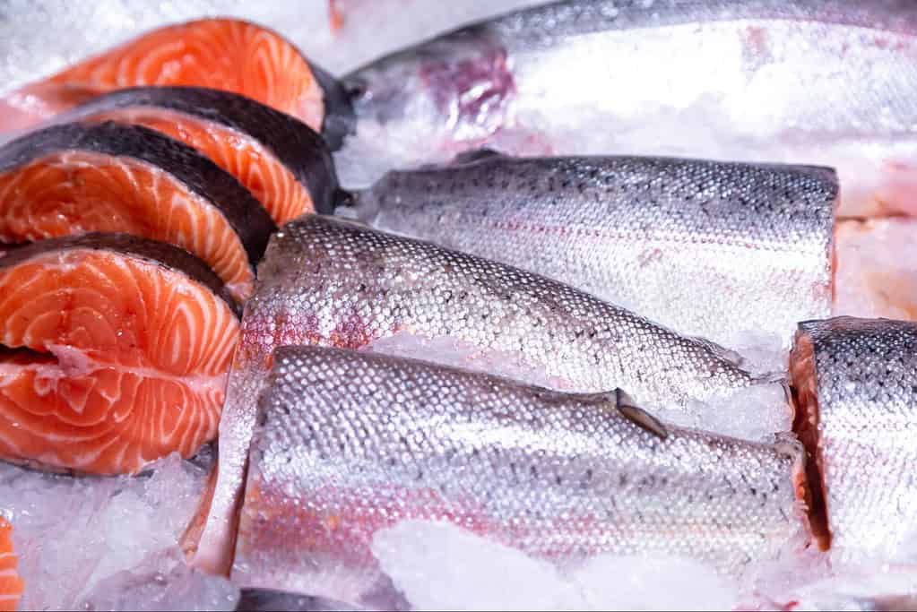 High-quality salmon fillets on ice, ready for fresh seafood delivery or cooking.