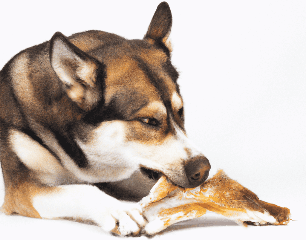 salmon in small quantities