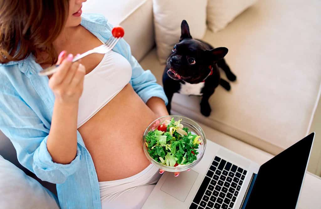 Pregnant woman and dog sharing healthy salad near laptop in cozy home setting.