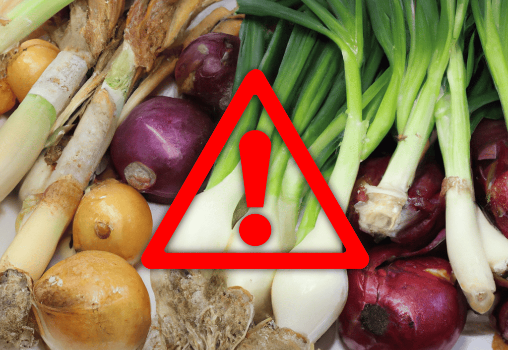 Dog-safe and toxic vegetables for dogs.