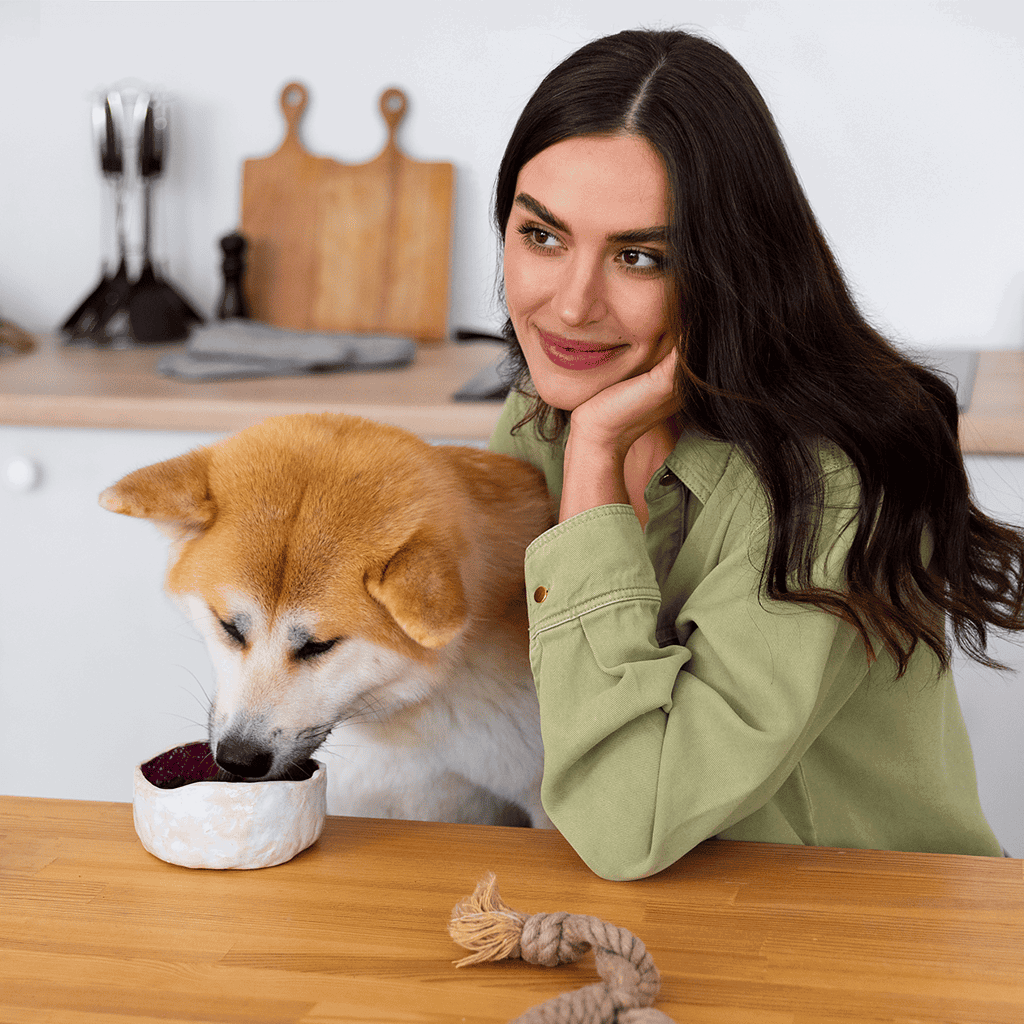 Akita Food & Diet Requirements