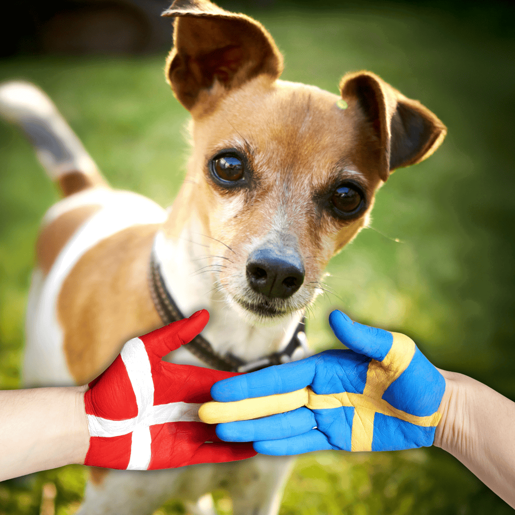 Adorable dog with international supporters, emphasizing global pet wellness and care services.