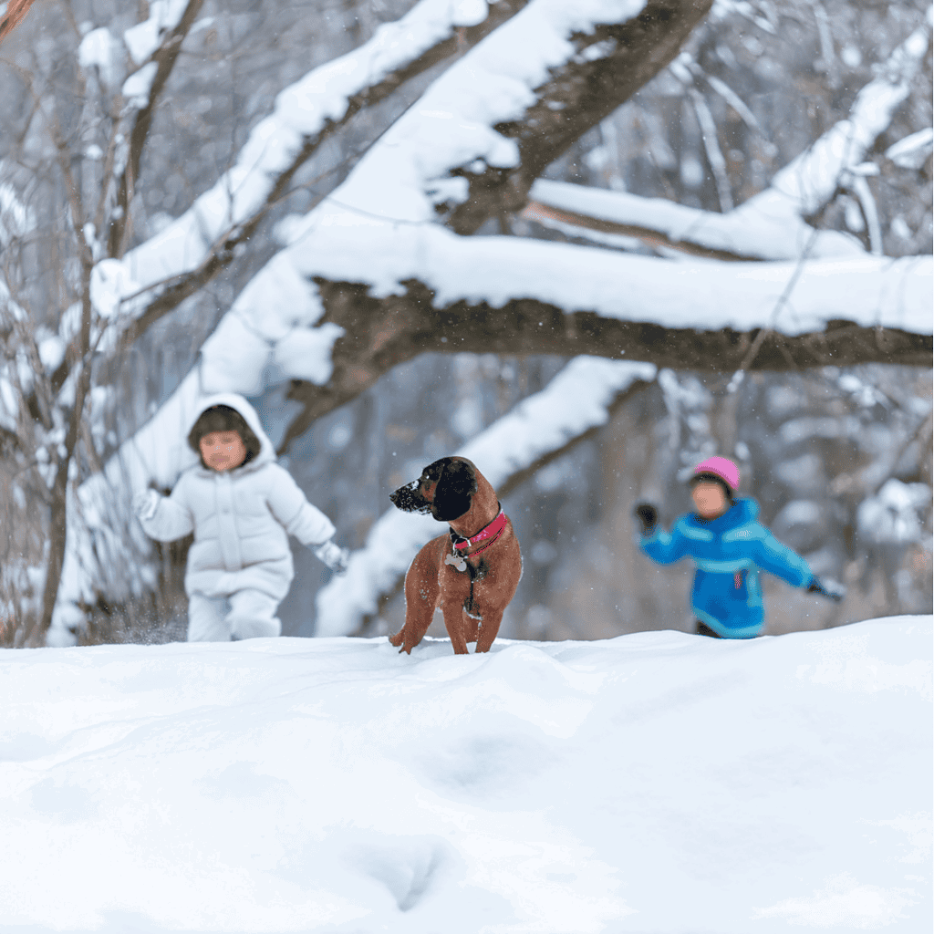 Cute dog running in snow with children playing in winter forest.