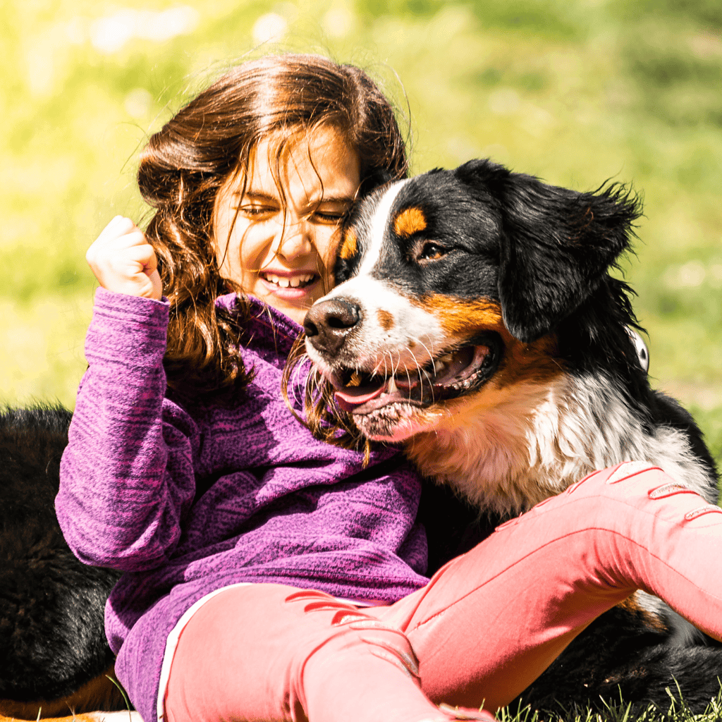Joyful girl with adorable Bernese Mountain Dog enjoying outdoor playtime.