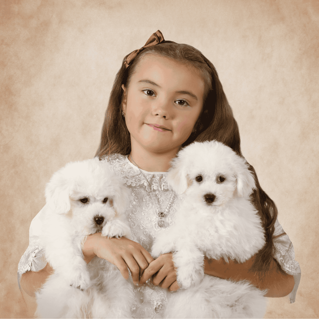 Adorable girl holding two fluffy white puppies, showcasing pet care and love for dogs.