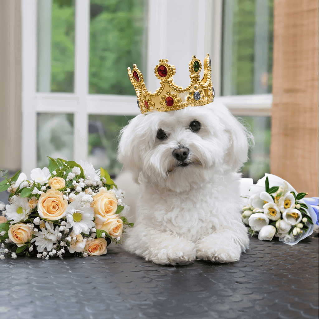 Adorable dog wearing a royal crown surrounded by flowers for a charming pet photo.