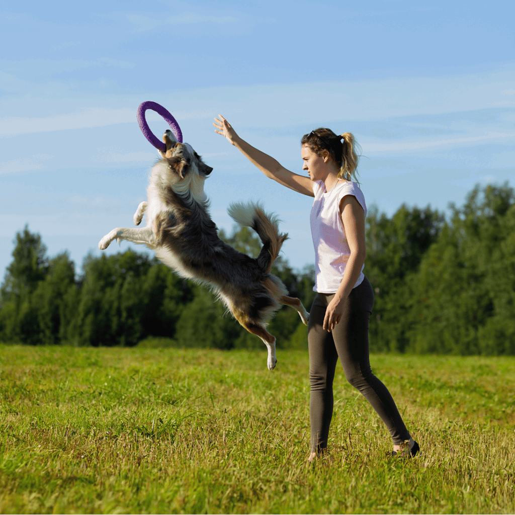 Dog playing fetch with owner outdoors, a fun moment in the park.