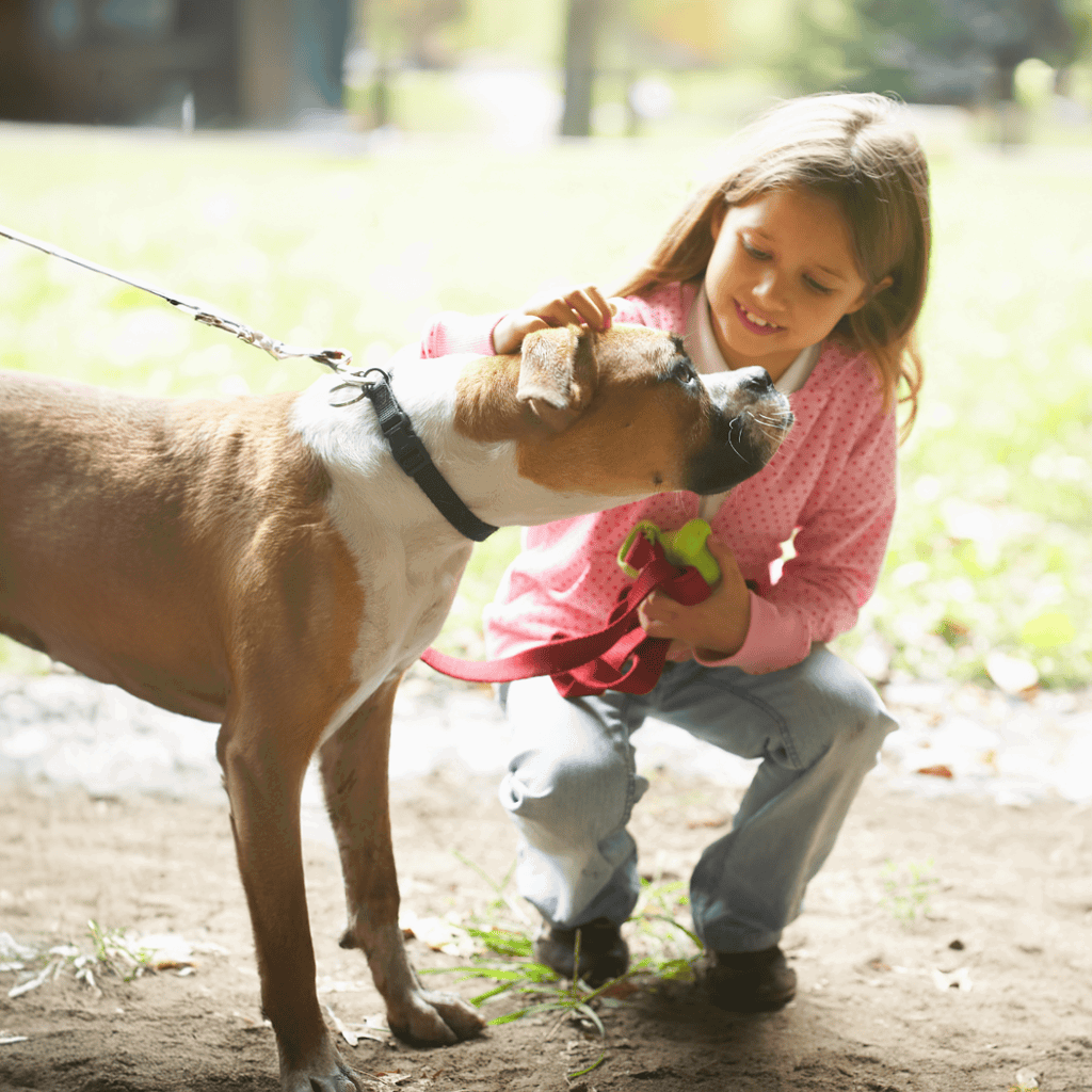 Boxer Are These Dogs Good For Families