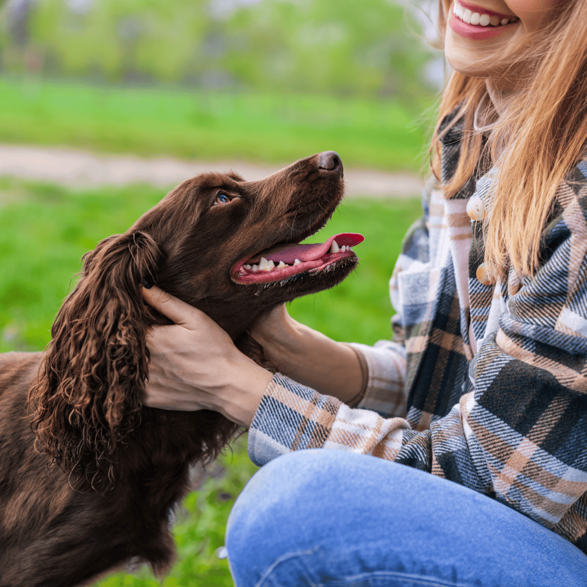 Dog and owner enjoying outdoor time, strengthening bond with love and play.