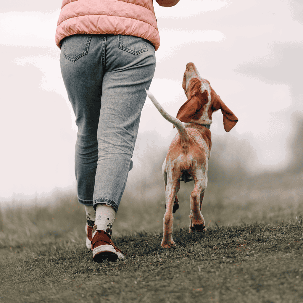 Dog walking and pet care services for happy, healthy dogs. Trusted dog walkers near you.