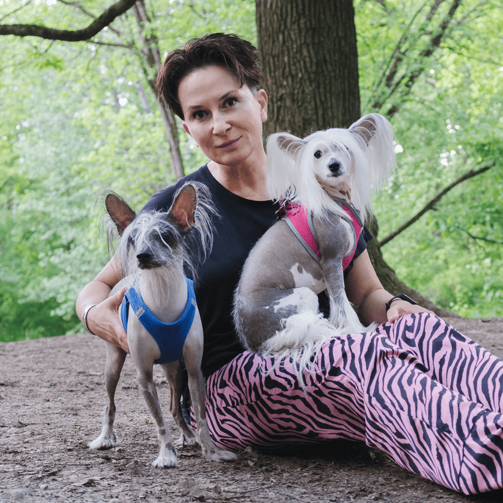 Chinese Crested Are These Dogs Good For Families