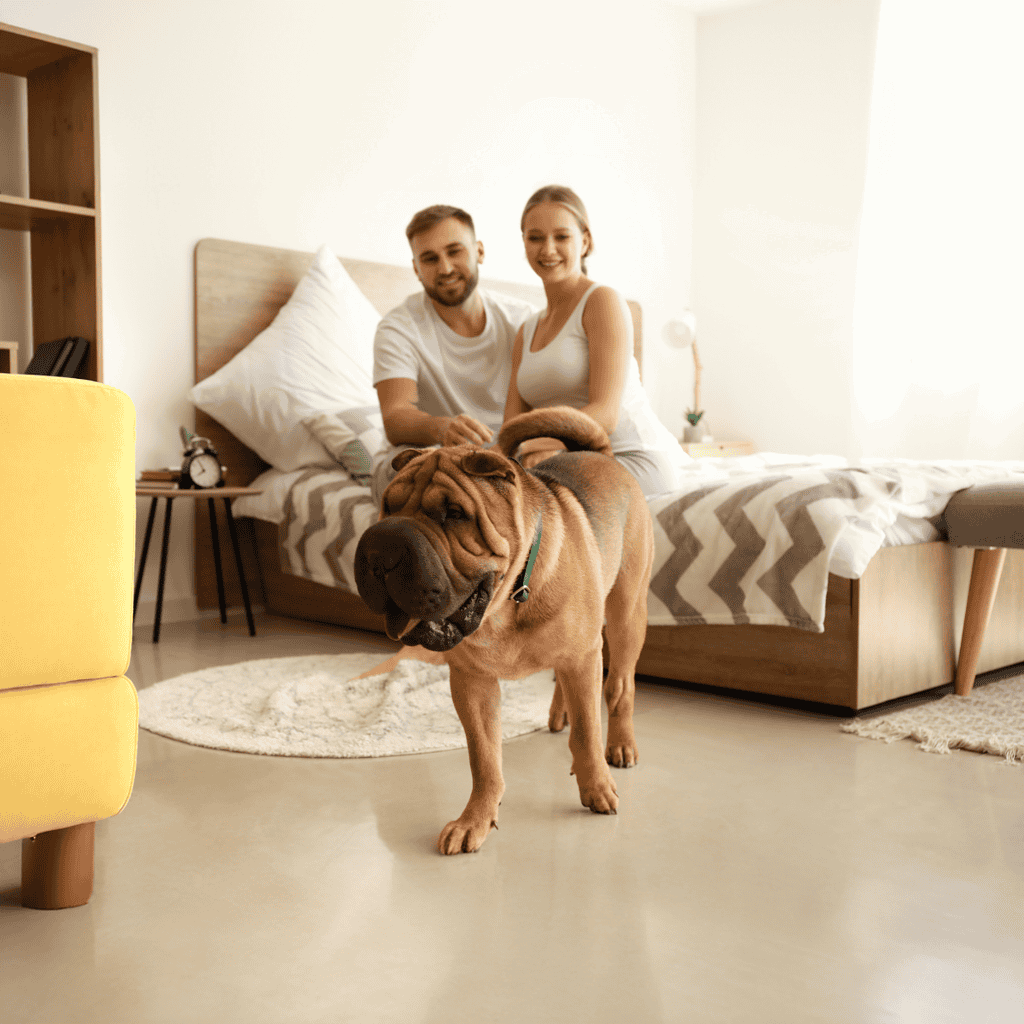 Friendly dog and happy owners in a cozy bedroom setting.
