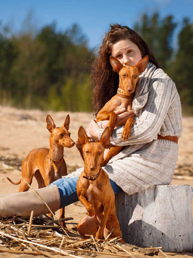 Cirneco Dell'Etna Are These Dogs Good For Families