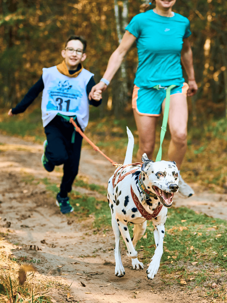 Active dog walking in nature, family fun with a Dalmatian.