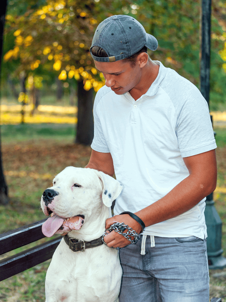 Dog care and training tips for pet owners.