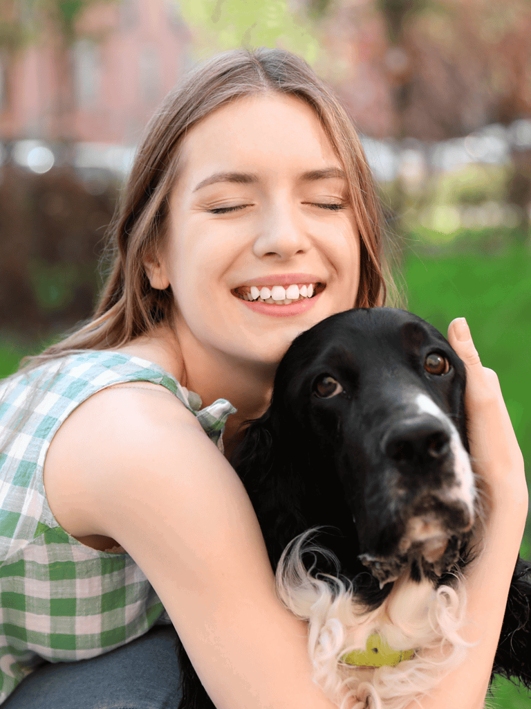English Springer Spaniel Are These Dogs Good For Families