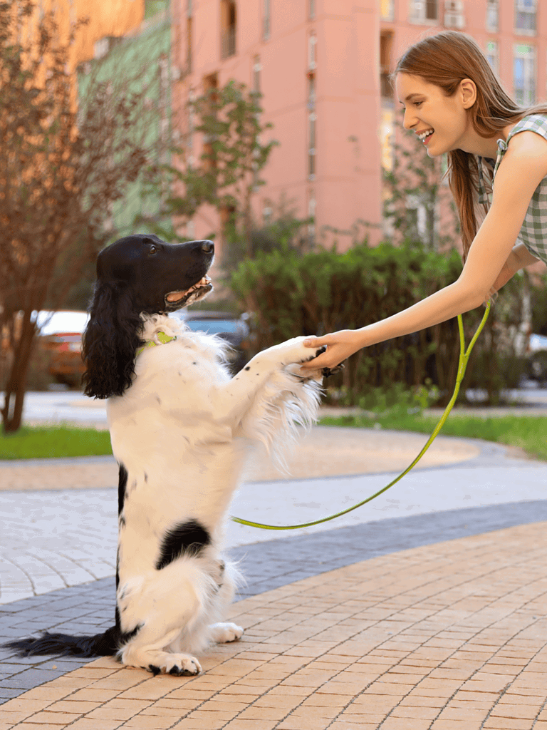 Happy woman with her dog playing on a city sidewalk.