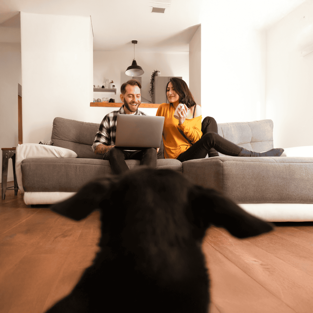 Loyal dog observing couple on couch with laptop, cozy home interior, pet-friendly space, and relaxed ambiance.