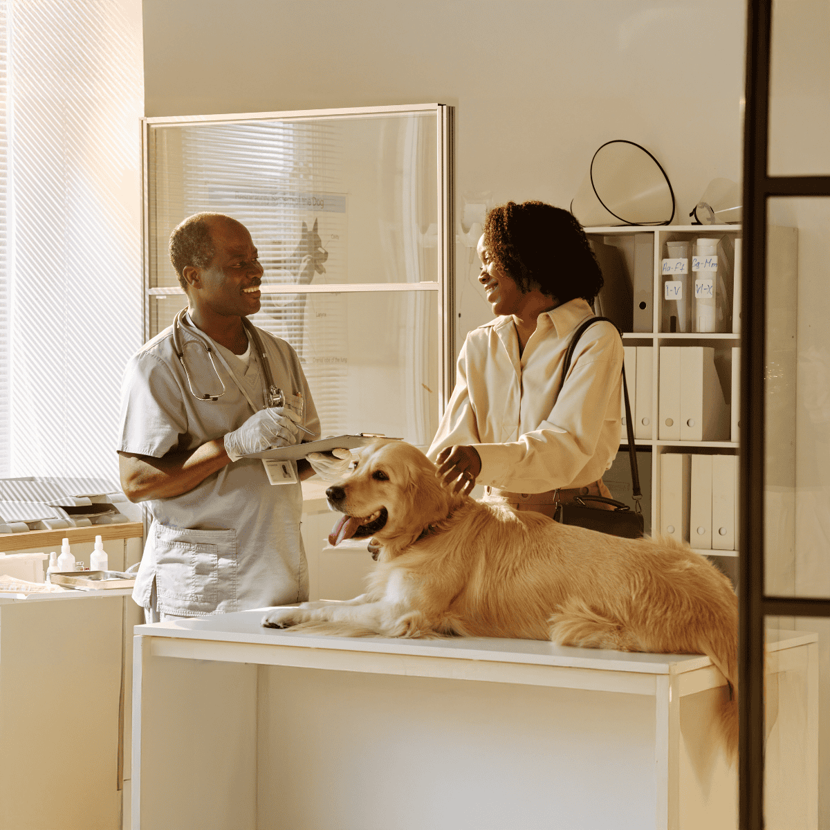 Veterinarian and pet owner discuss health care for a golden retriever dog at veterinary clinic.