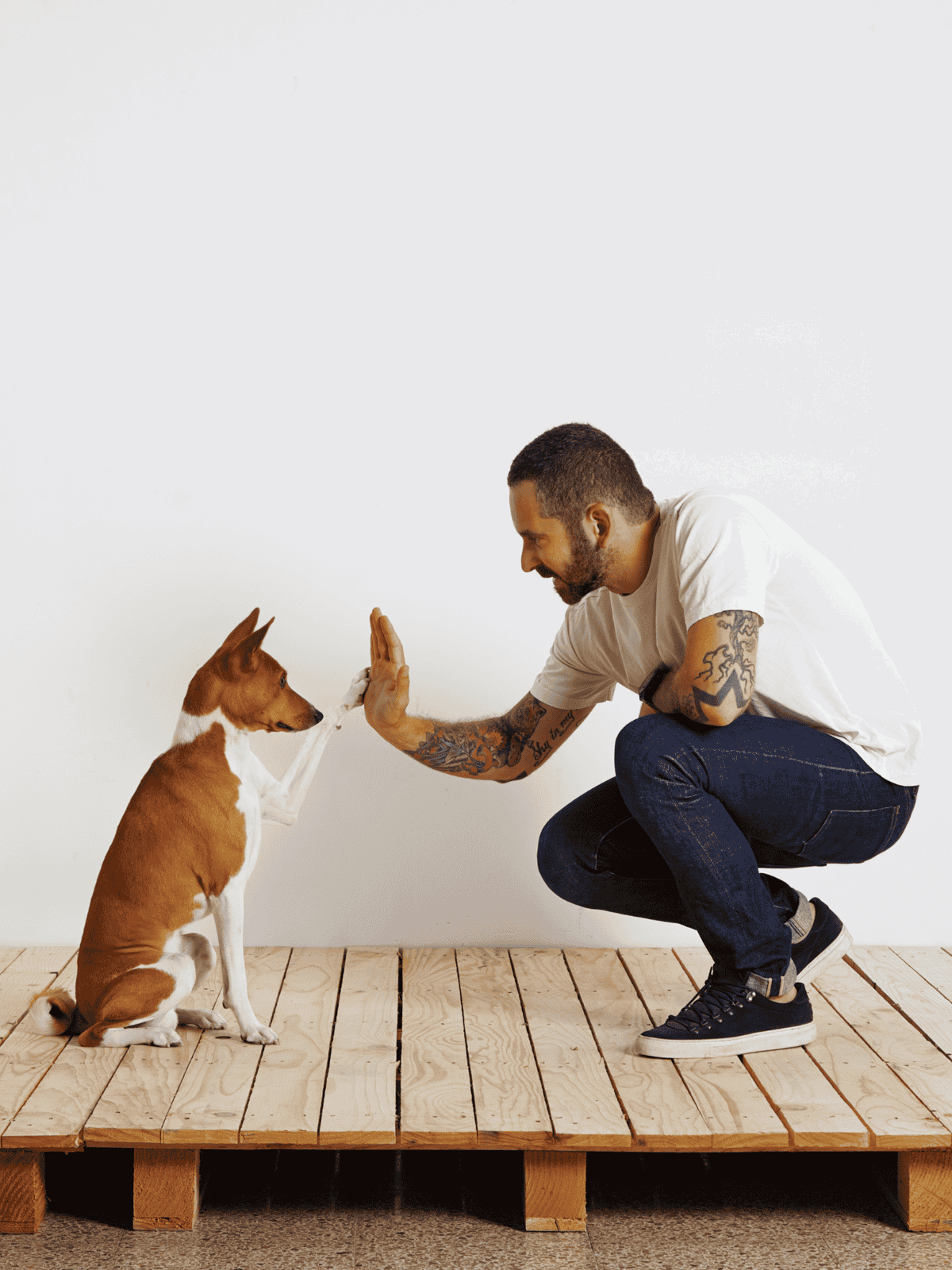 Happy dog and trainer engaging in high-five training session indoors.
