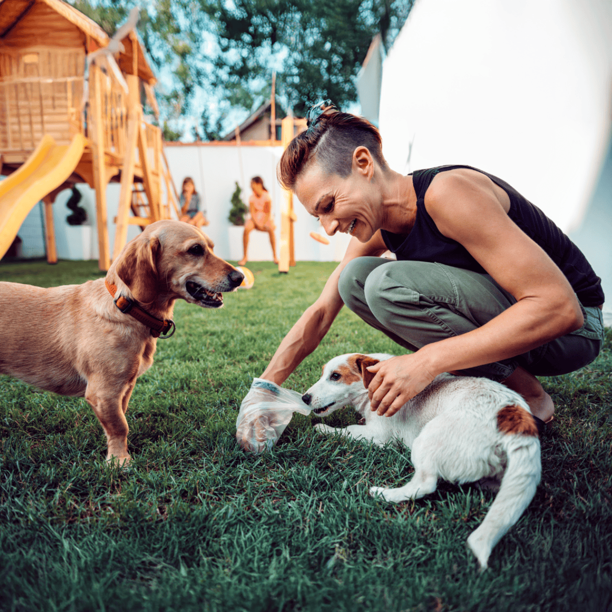 Happy woman playing with dogs outdoors, backyard with playset.
