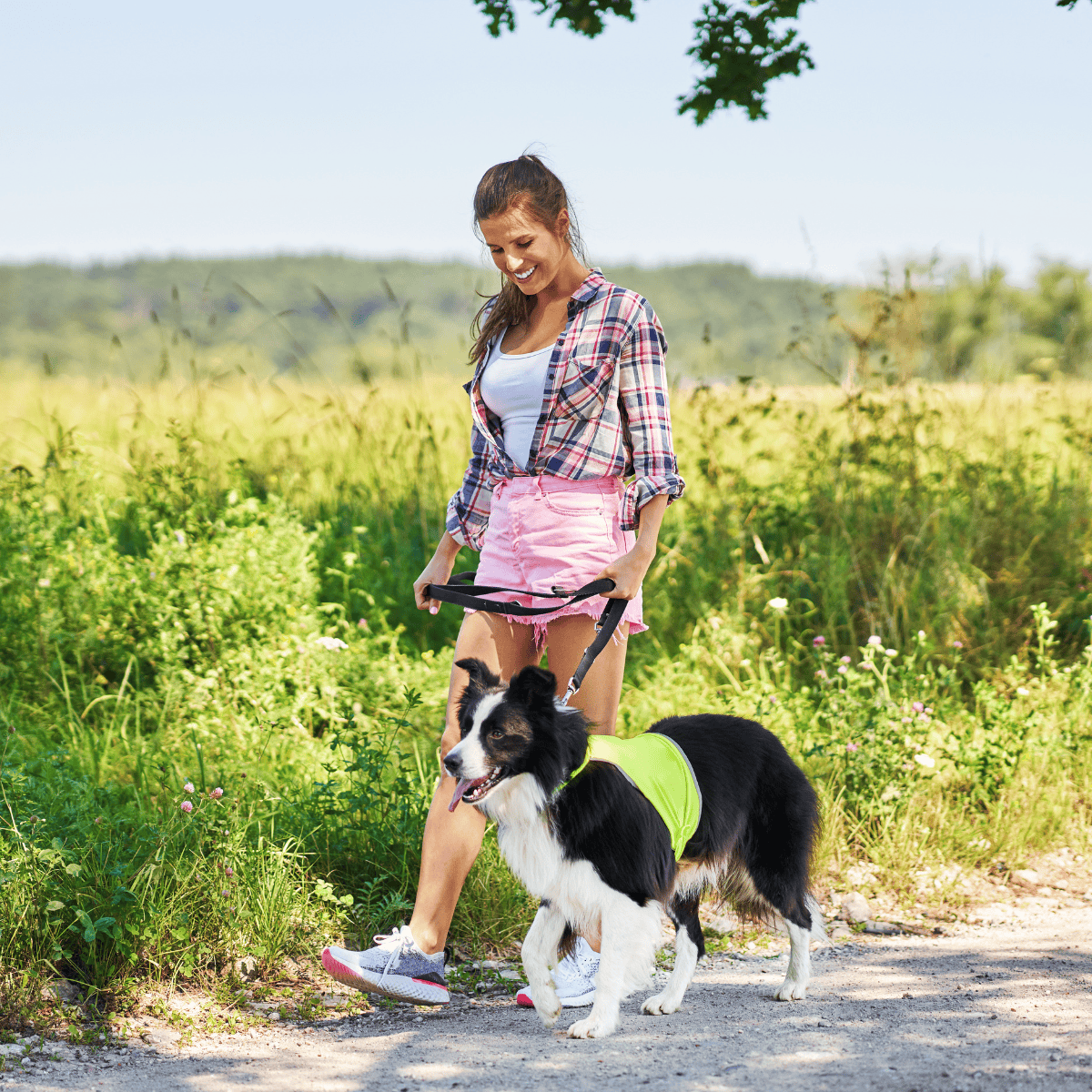 Young woman smiling while walking her border collie dog outside in nature.