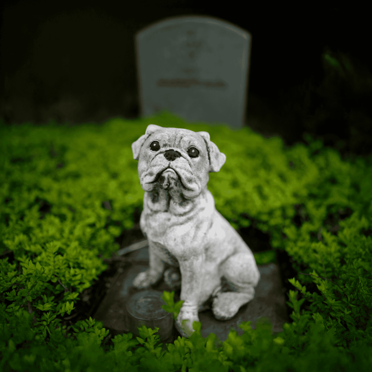 Dog statue in a grassy area with a tombstone in the background, symbolizing remembrance for beloved pets.