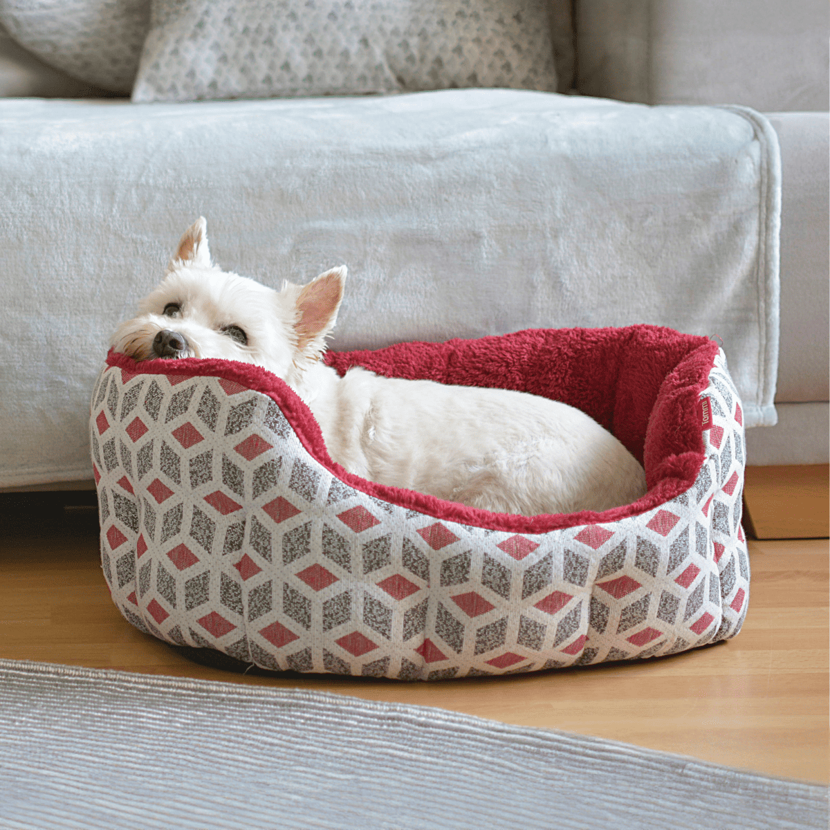 Comfortable pet bed with soft plush lining, perfect for small dogs to relax and sleep peacefully.