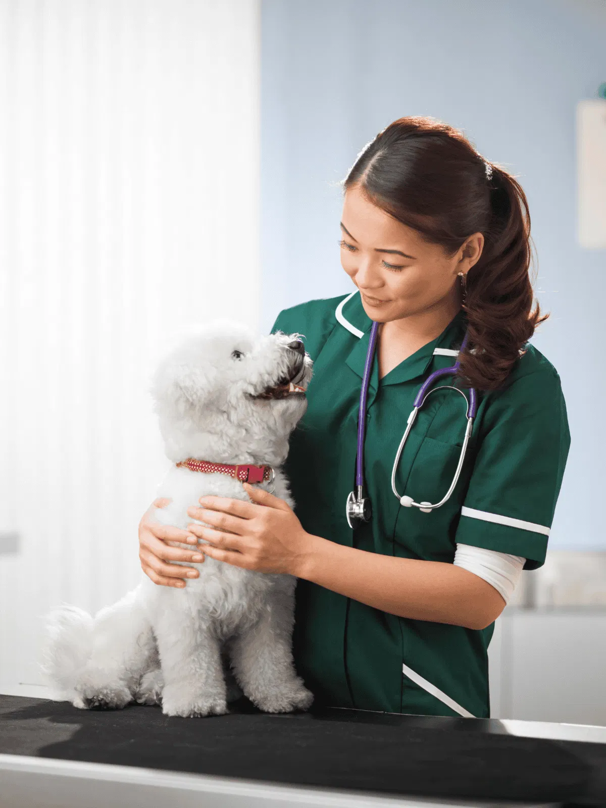 Friendly veterinarian with adorable white puppy.