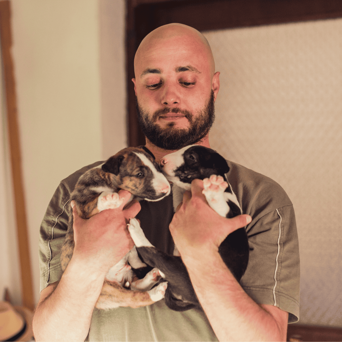 Happy man holding two playful puppies, young dog lovers bonding, indoor pet care.