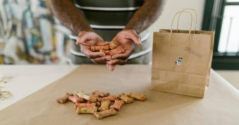 Delicious homemade dog treats for a healthy, happy pet.